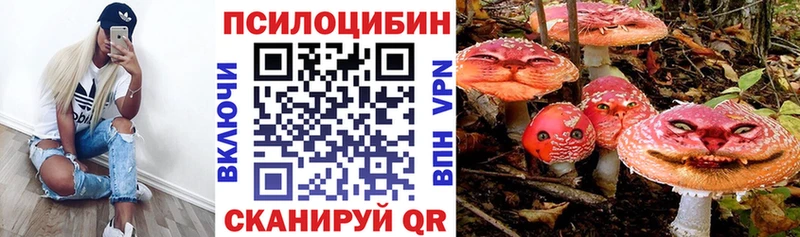 что такое наркотик  Лыткарино  kraken зеркало  Псилоцибиновые грибы MAGIC MUSHROOMS 